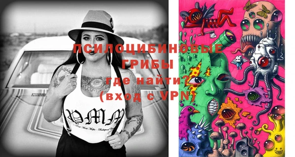 прущий лед Козельск